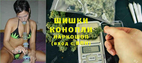 шишки Алексин