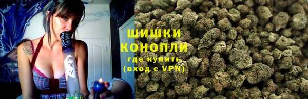 шишки Алексин