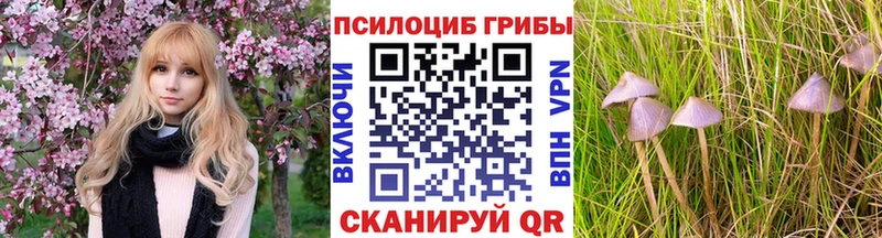 хочу наркоту Артёмовский Галлюциногенные грибы Magic Shrooms